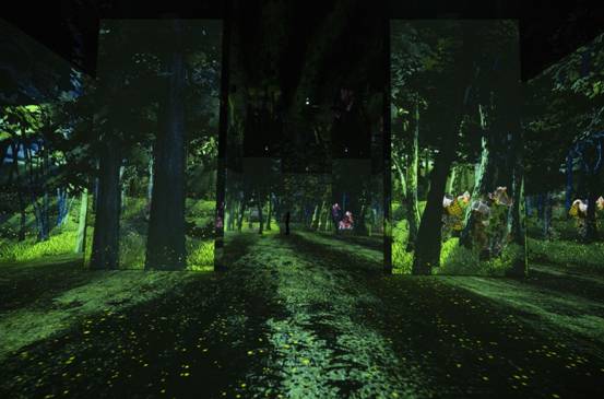 ˵��: E:\2024�깤��/��չ����/��Ӱ������/11��1��ý��Ӵ���/�þ�������ý���زİ�1102/�þ�������/ͼƬ/Forest-min.jpg